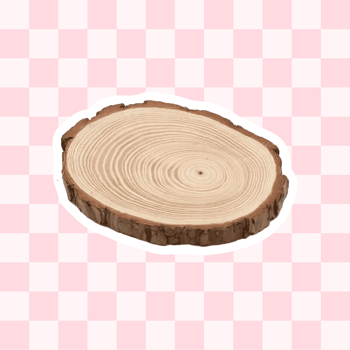 Superficie de rodaja madera de pino 1