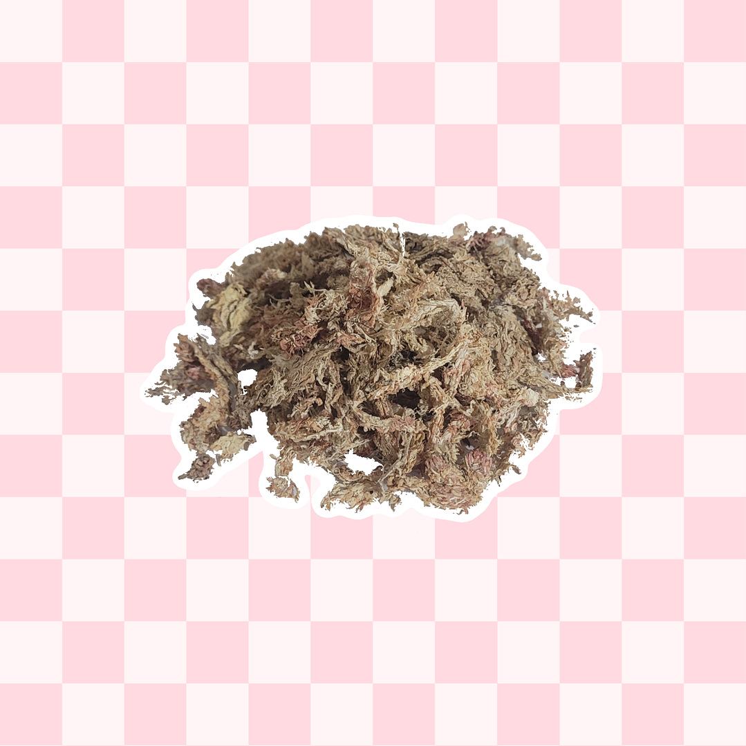 Textura Musgo Sphagnum 1