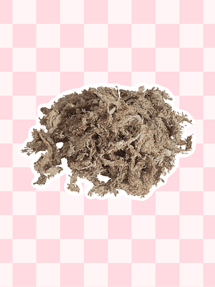 Textura Musgo Sphagnum