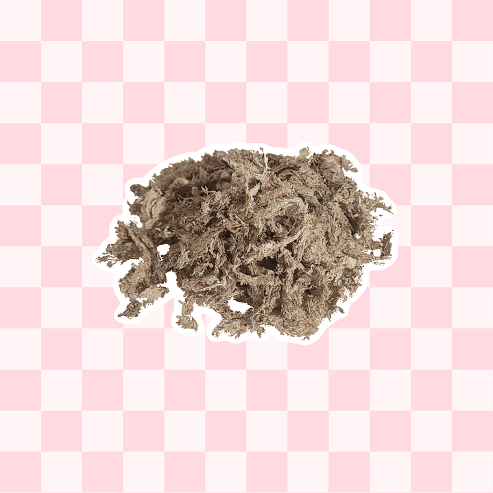 Textura Musgo Sphagnum 1