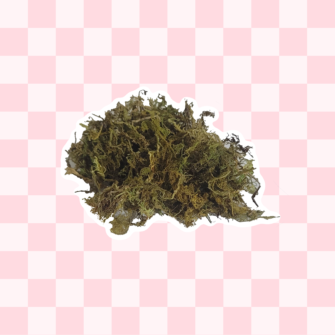 Textura Musgo verde 1