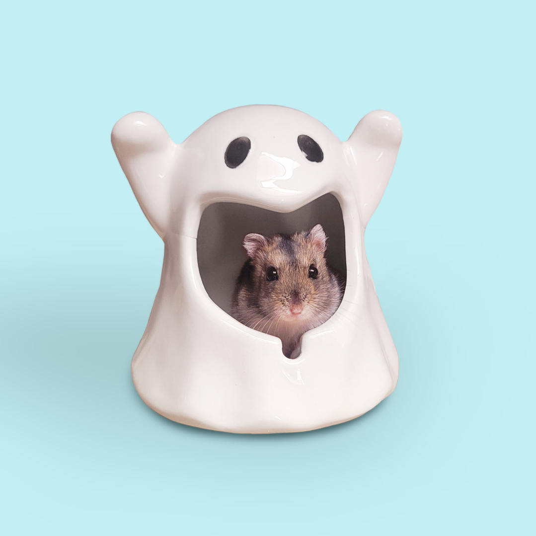 Refugio cerámica fantasma 2