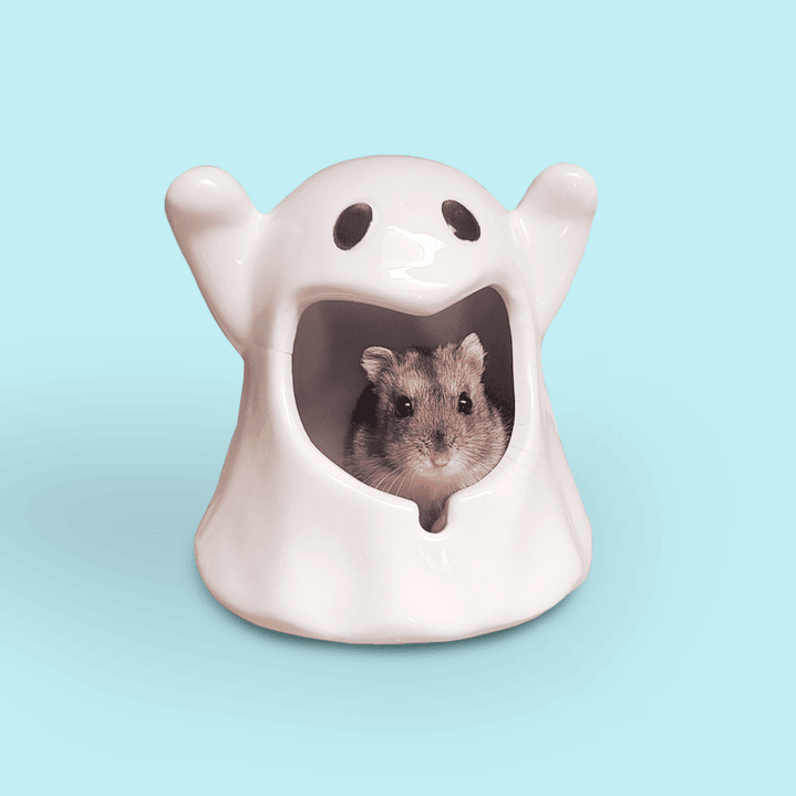 Refugio cerámica fantasma 2