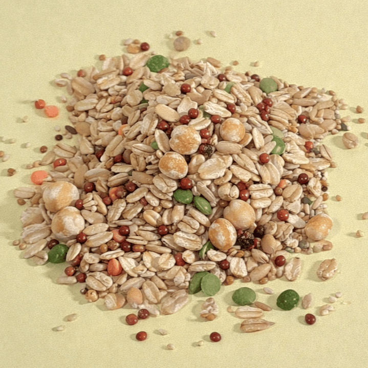 Mix balanceado de 14 Semillas Naturales 4