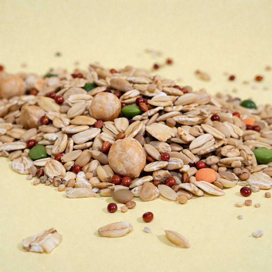 Mix balanceado de 14 Semillas Naturales 5