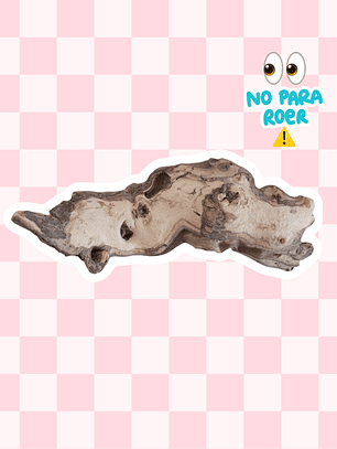 Tronco madera mopani