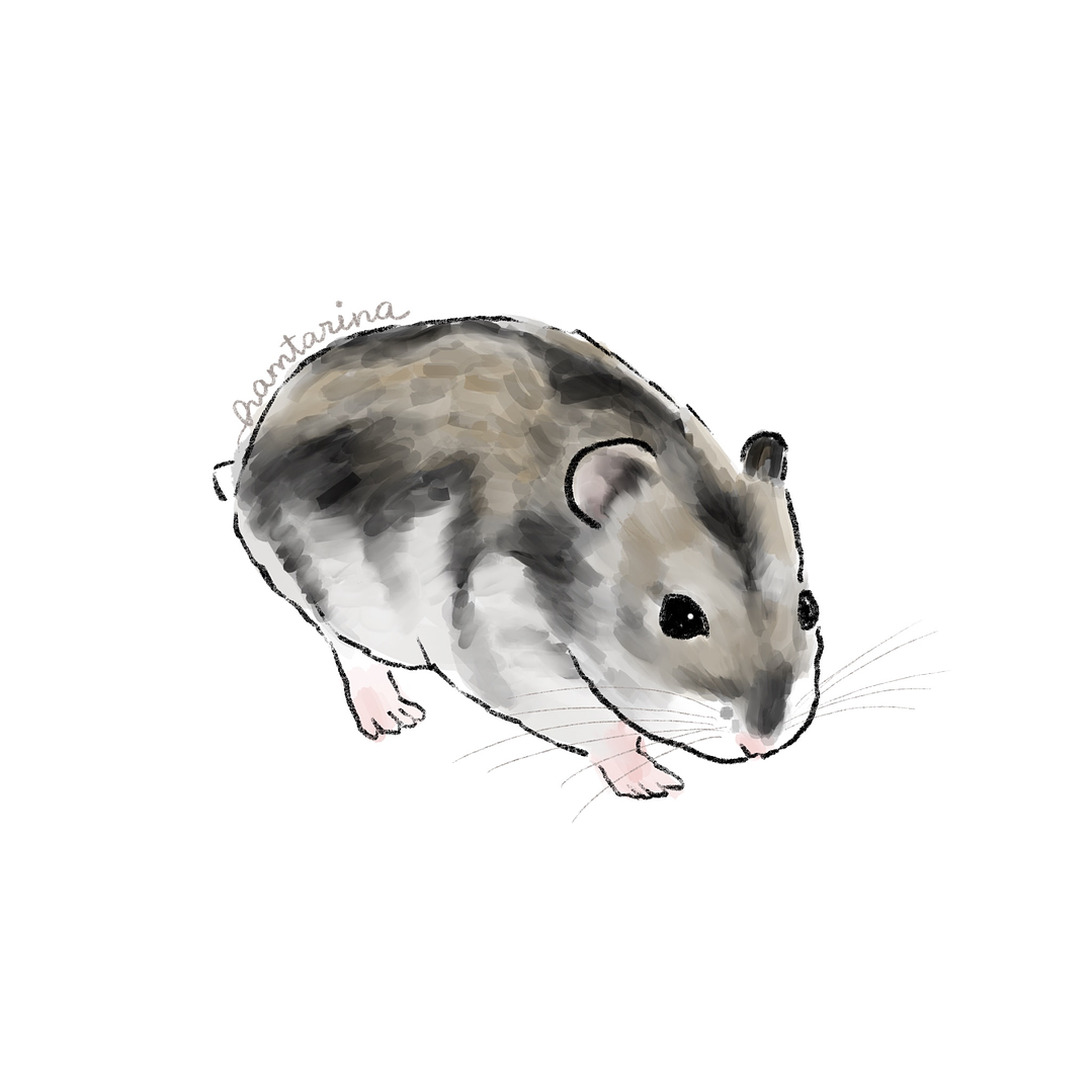 Ilustración digital semi realista 2