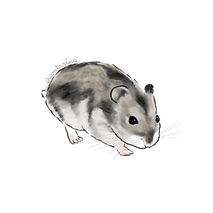 Ilustración digital semi realista 2