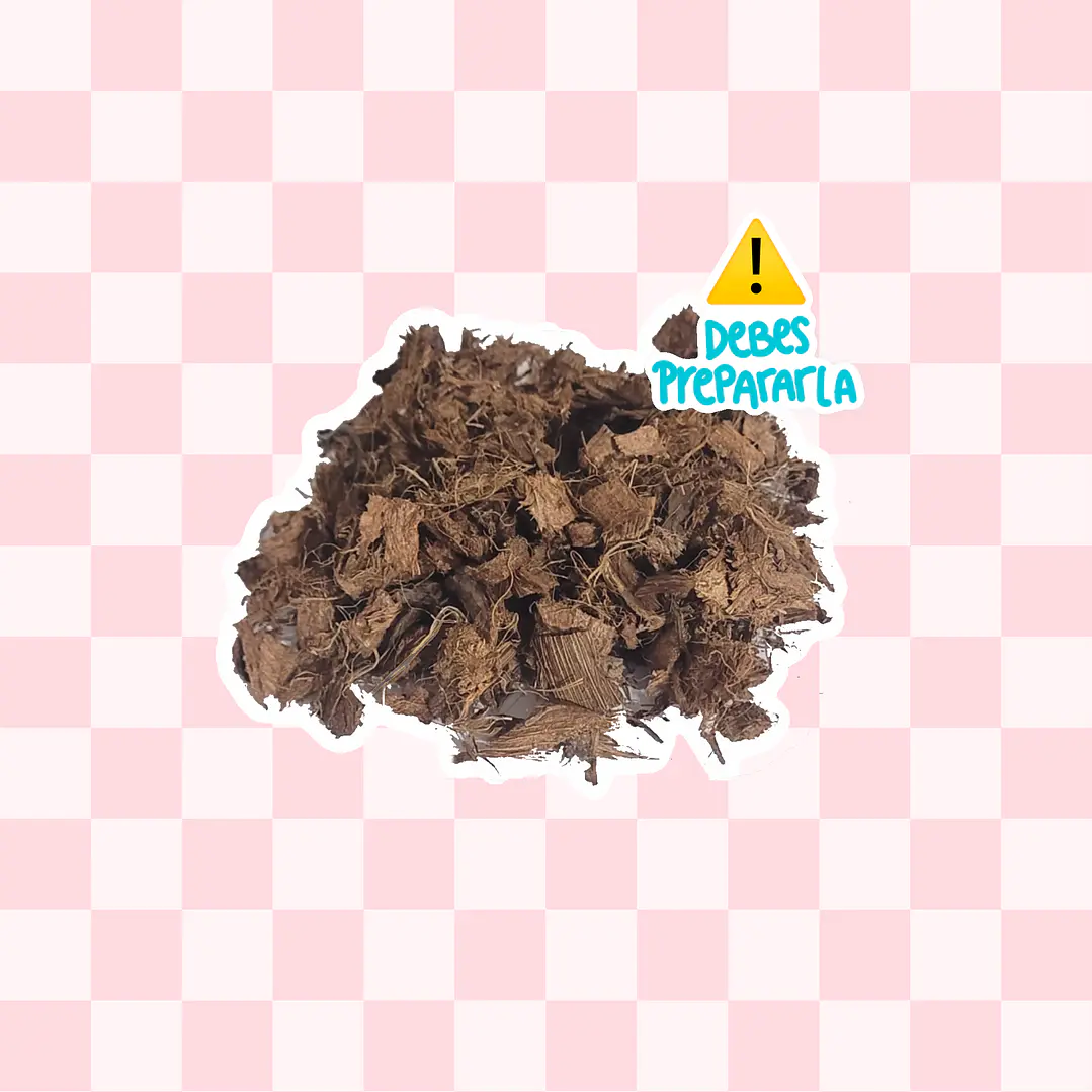 Textura Coco Chip 1