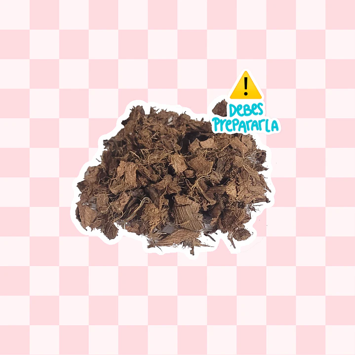 Textura Coco Chip 1