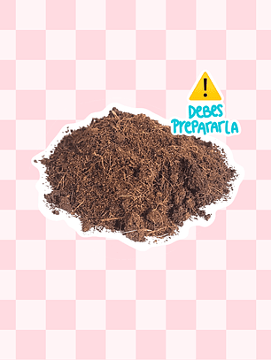 Textura sustrato de coco