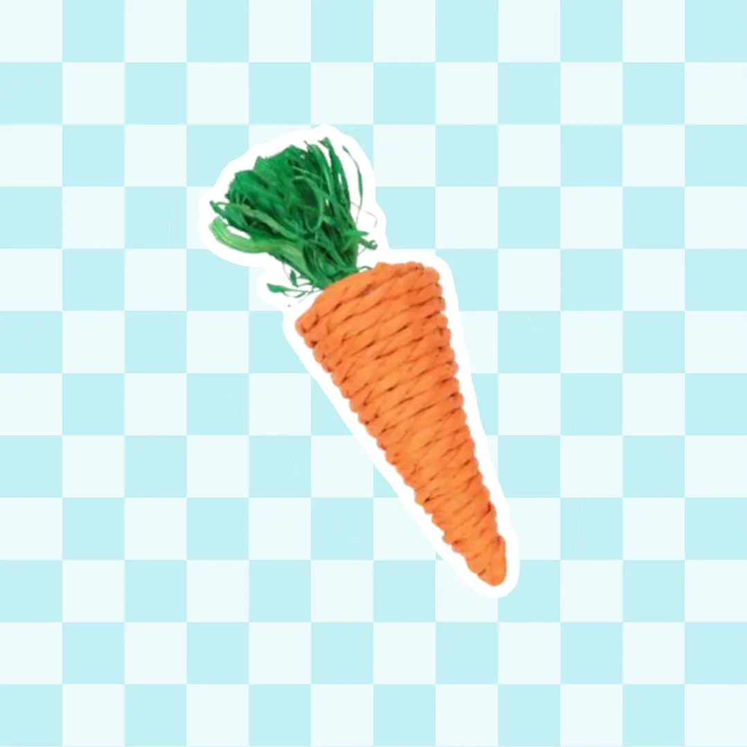 Mordedor zanahoria 1