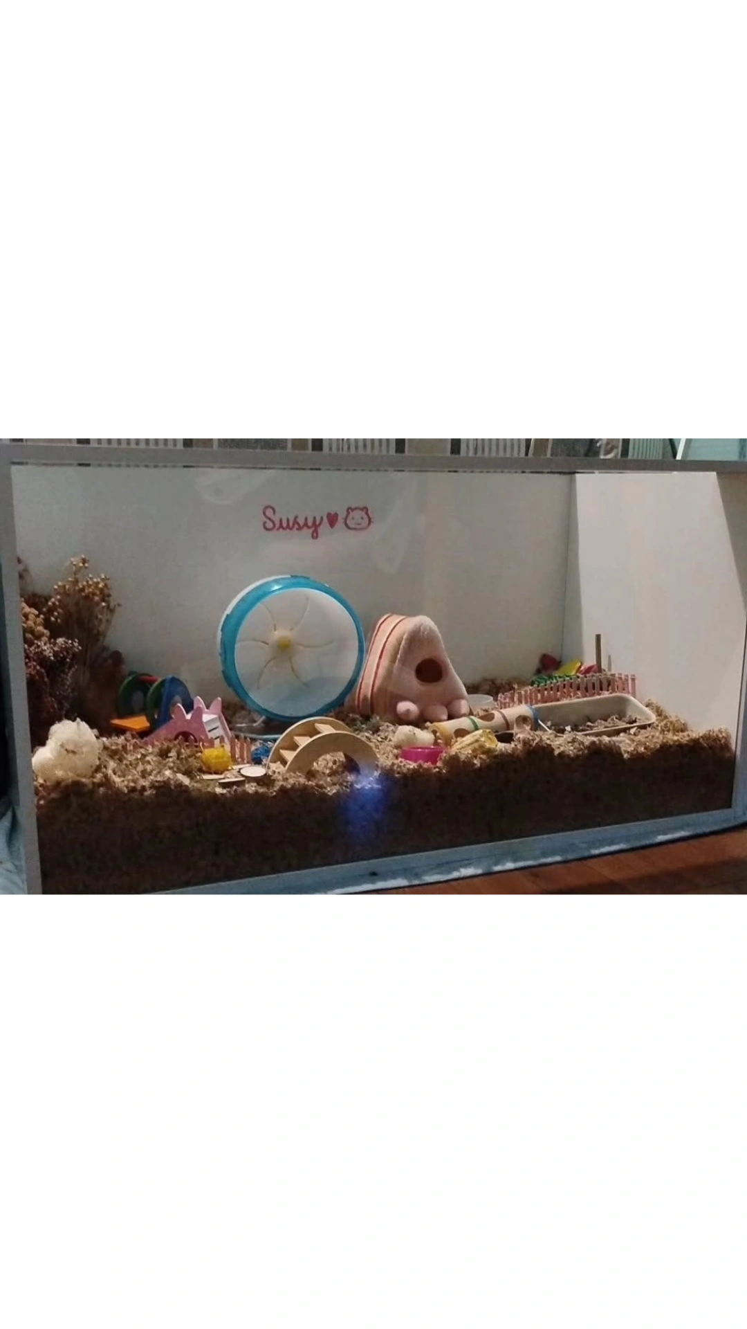 Hábitat terrario para hámster 100x50x50cm 5