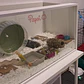 Hábitat terrario para hámster 100cm - Miniatura 8