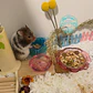 Cuenco de vidrio flor - Miniatura 4
