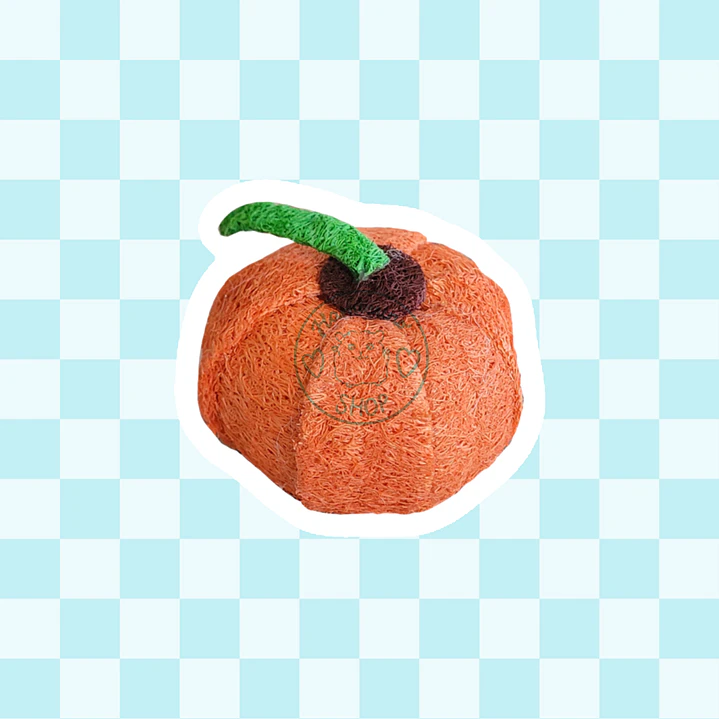Calabaza de luffa 1