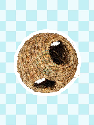Esfera vegetal