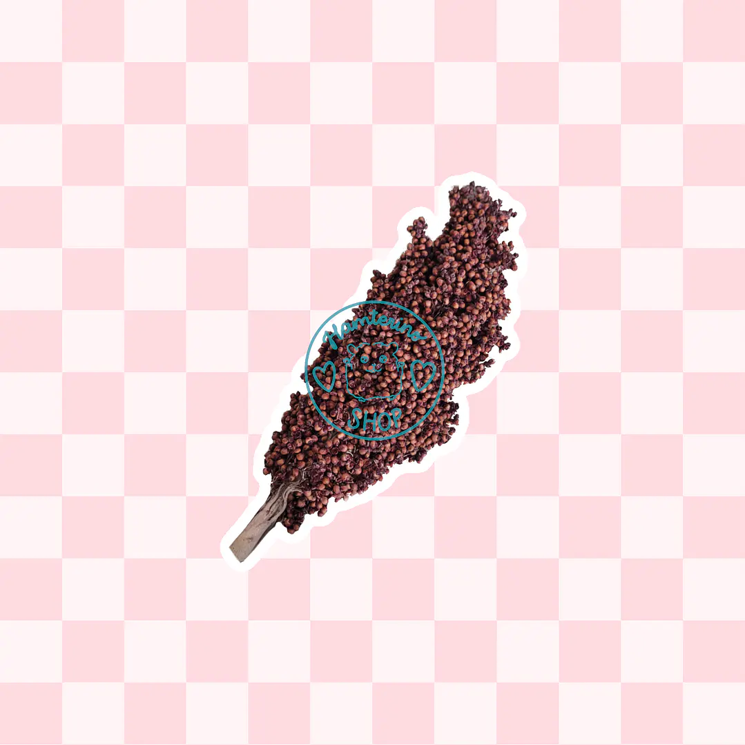Rama sorgo rojo 2