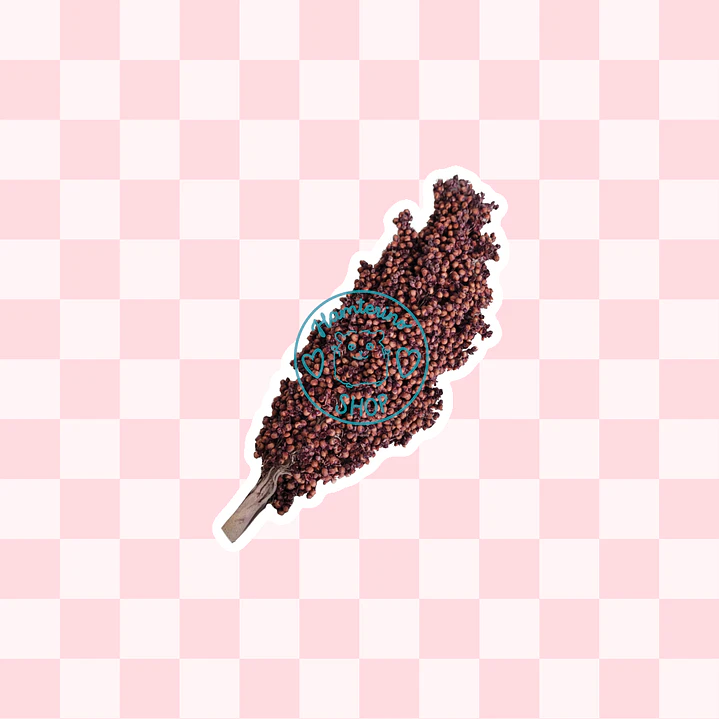 Rama sorgo rojo 2