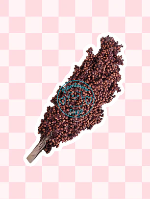 Rama sorgo rojo