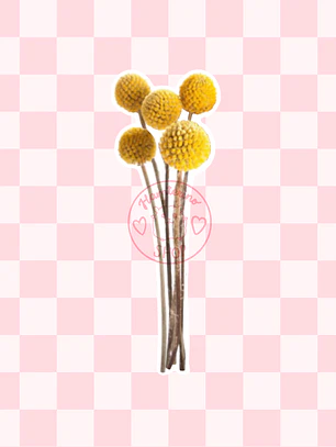 Ramo flores craspedia