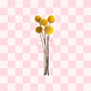 Ramo flores craspedia - Miniatura 1