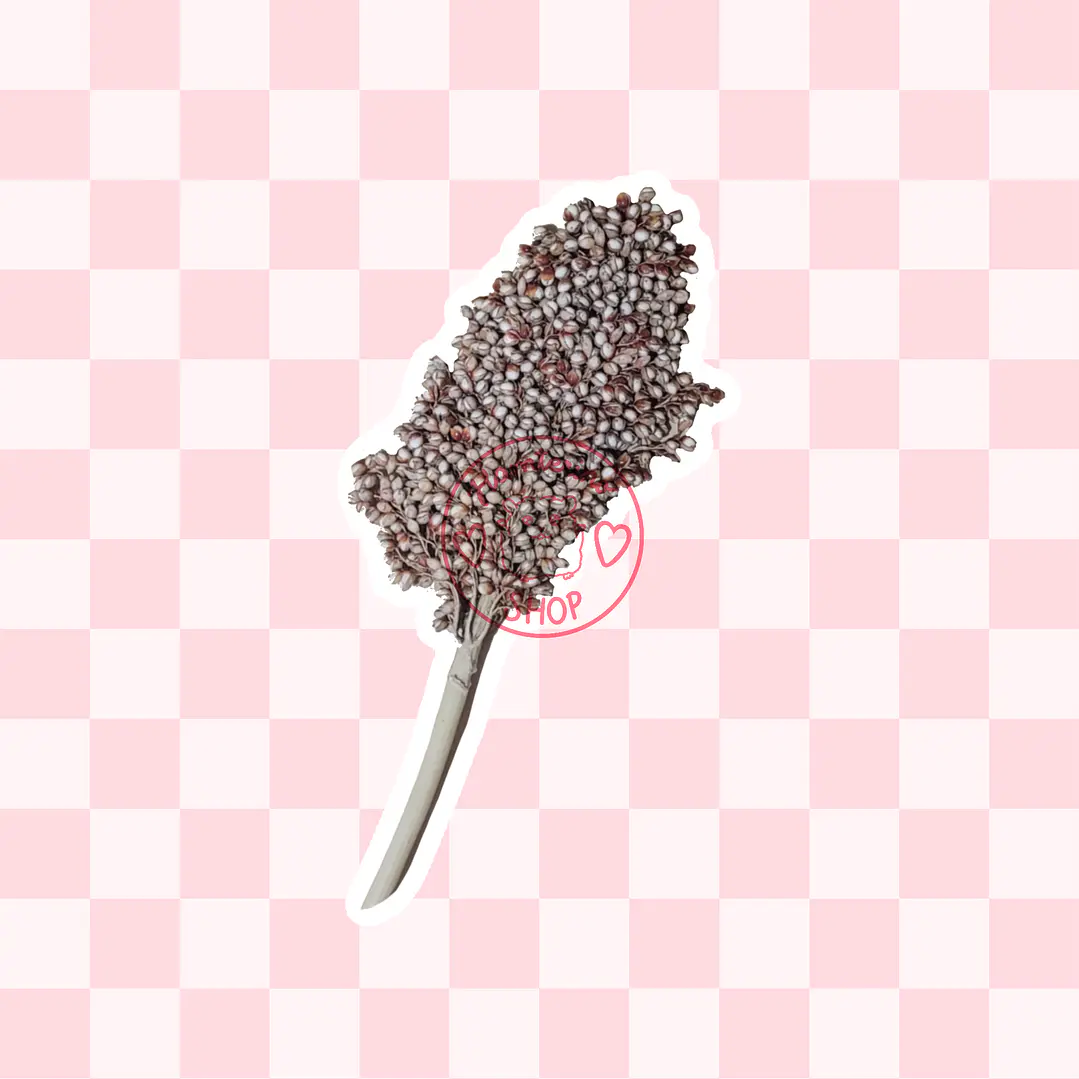 Ramas sorgo plateado 1