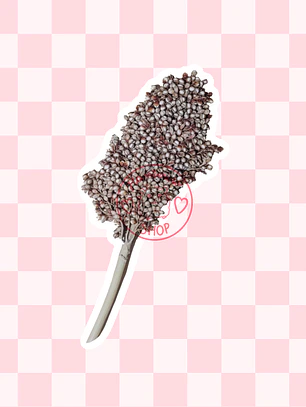 Ramas sorgo plateado