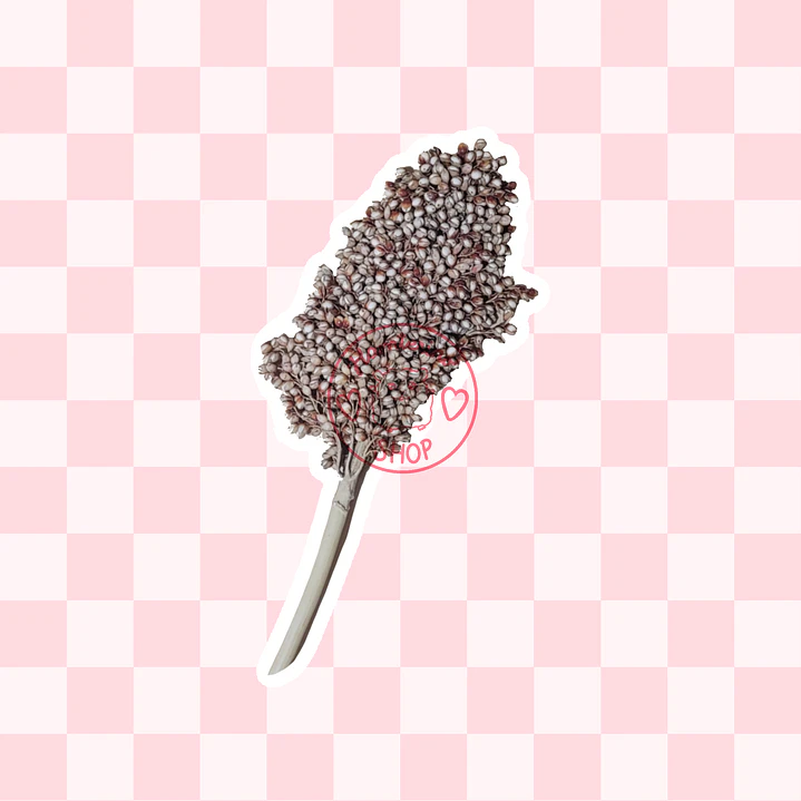 Ramas sorgo plateado 1