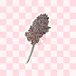 Ramas sorgo plateado - Miniatura 1