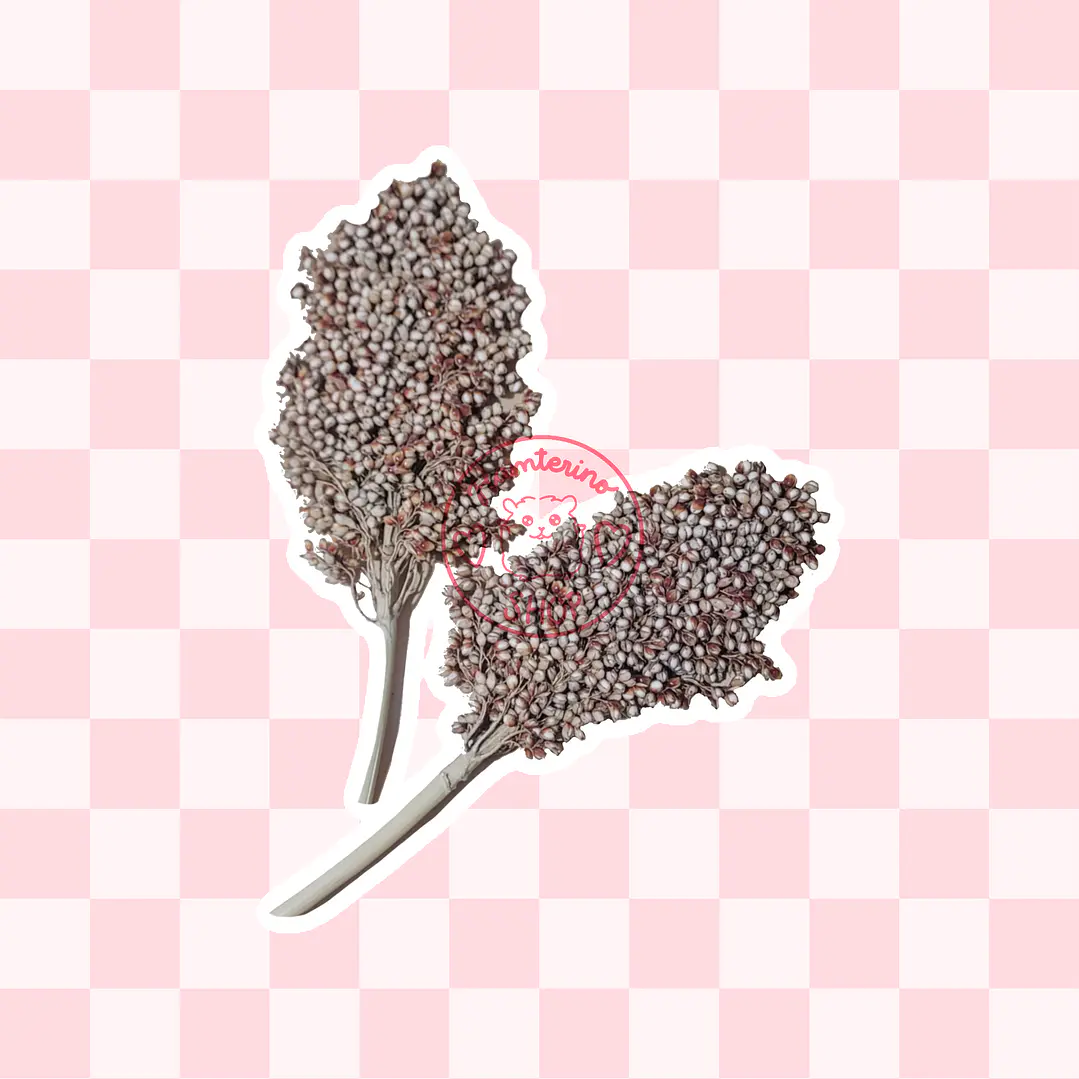 Ramas sorgo plateado 2