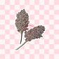 Ramas sorgo plateado - Miniatura 2