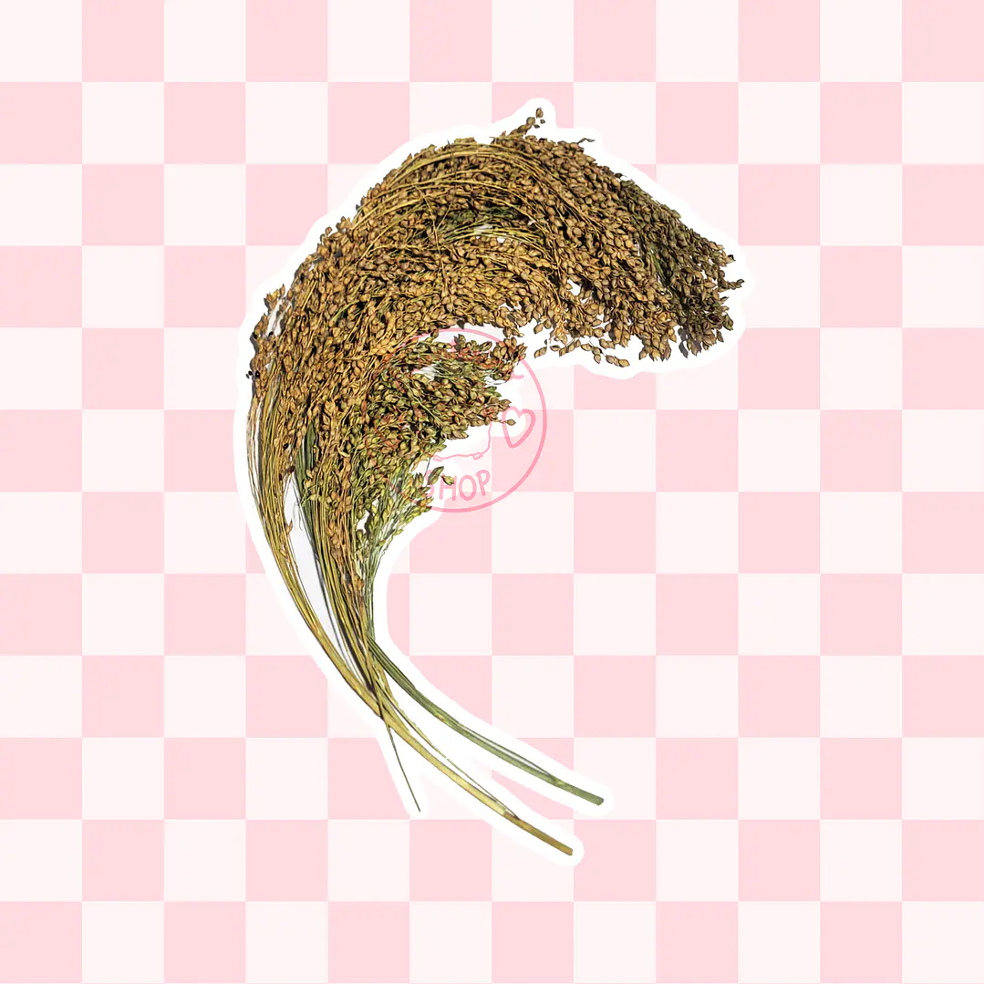 Ramas de mijo 1
