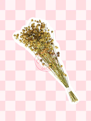 Ramas de lino 