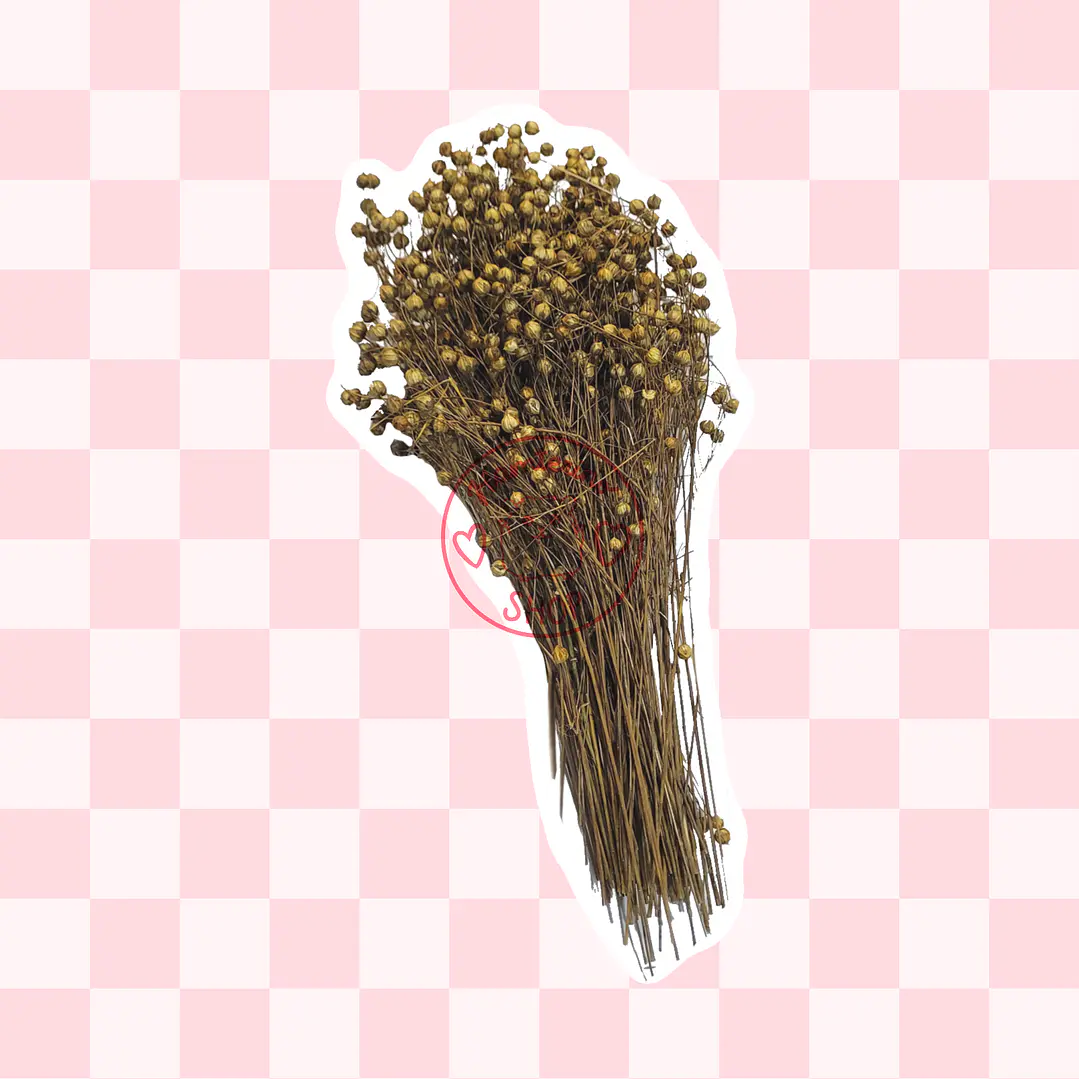 Ramas de lino  2