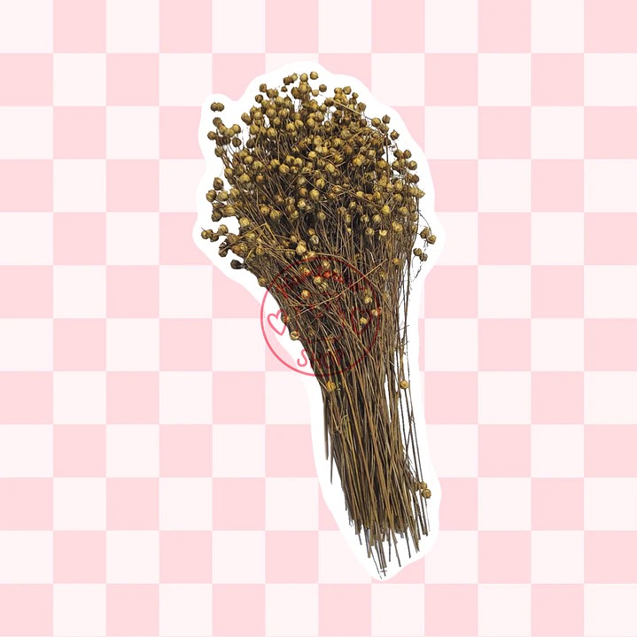 Ramas de lino  2