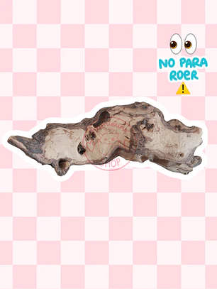 Tronco madera mopani