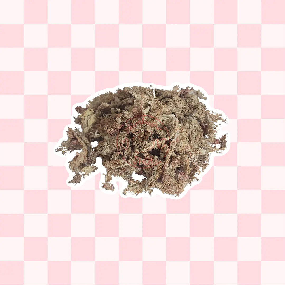 Textura Musgo Sphagnum 1