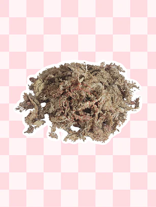 Textura Musgo Sphagnum