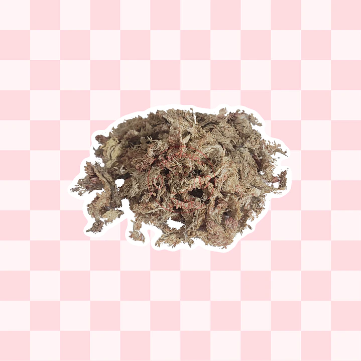 Textura Musgo Sphagnum 1