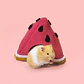 Tipi polar Sandía - Colección Frutas - Miniatura 4
