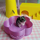 Recipiente forrajeo flor 3D - Miniatura 6
