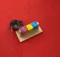 Juego de dados giratorios 3D - Miniatura 2