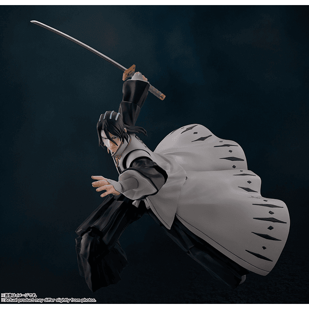 S.H.FIGUARTS BYAKUYA KUCHIKI TAMASHII NATIONS 4