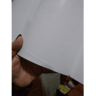 World's End Blue Bird 2 - CON DETALLE 6