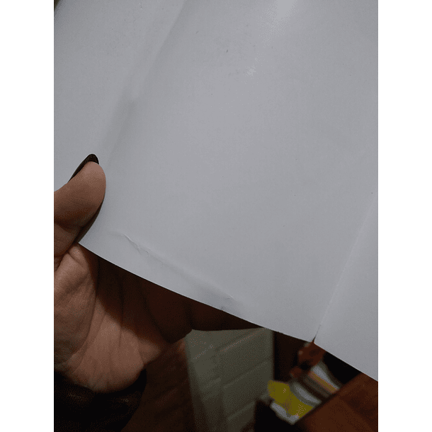 World's End Blue Bird 2 - CON DETALLE 6