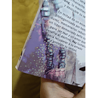 World's End Blue Bird 2 - CON DETALLE 7