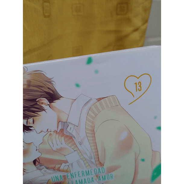Una enfermedad llamada amor 13 - CON DETALLE