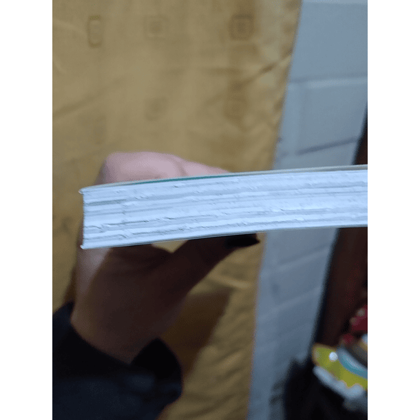 Una enfermedad llamada amor 13 - CON DETALLE 5