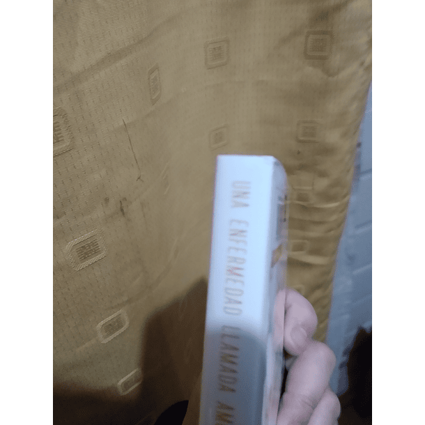 Una enfermedad llamada amor 13 - CON DETALLE 6